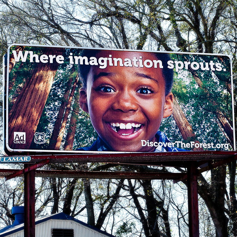 Lamar Baton Rouge Poster Bulletin Advertisement Discover the Forrest | Lamar Billboard | OnBillboards.com